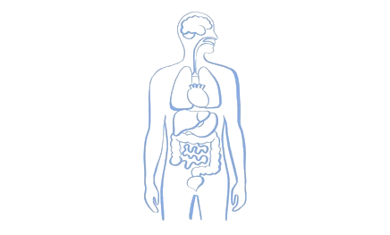 Solia ingredient support diagram